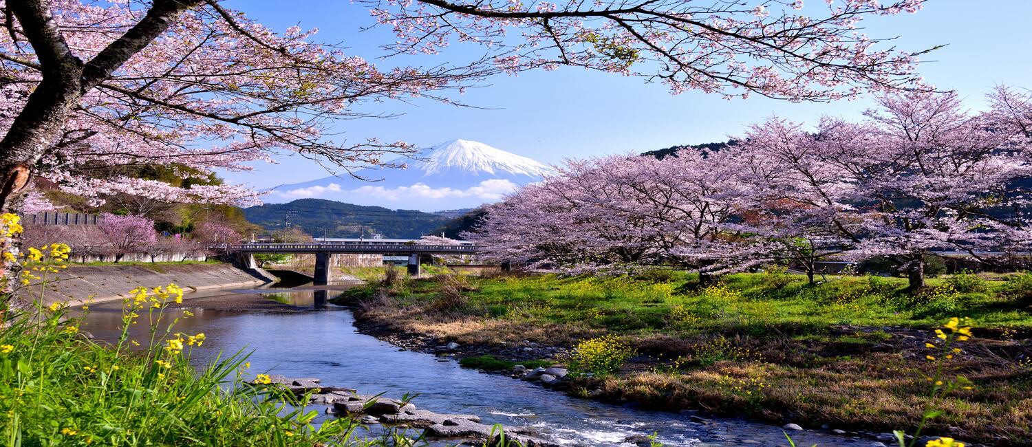 冬化粧の富士山の写真