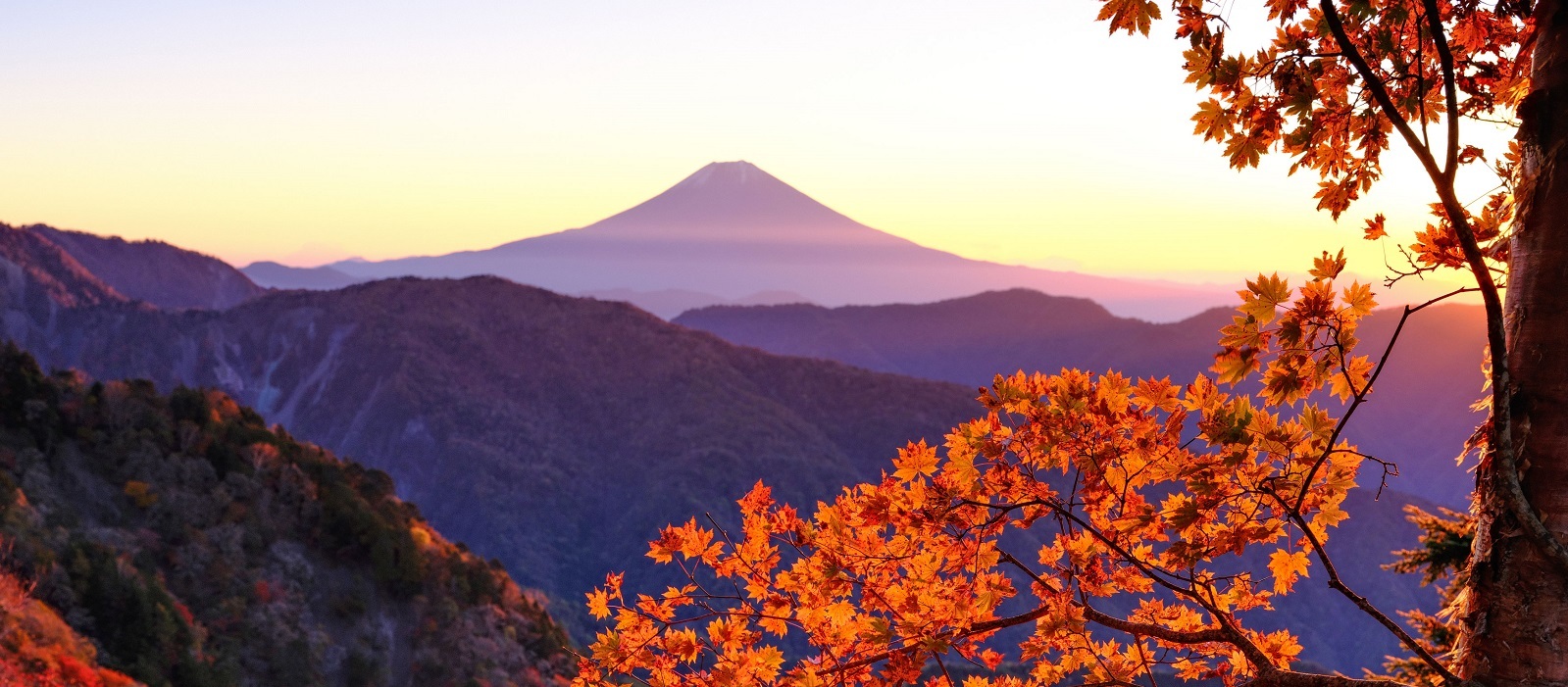 紅葉と富士山の写真