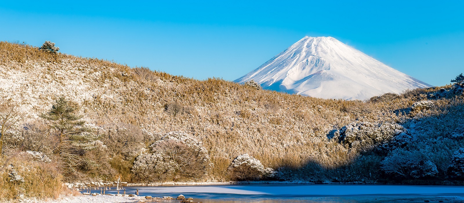 冬の富士山の写真