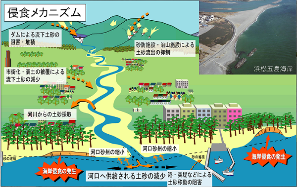 イラスト：遠州灘における取組