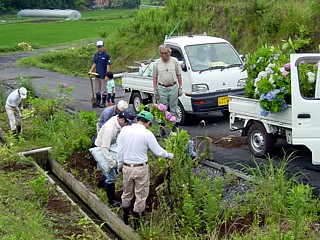 写真：地域住民によるあじさいの植栽中山間足柄地区（小山町）