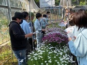 写真：伊豆農業研究センター