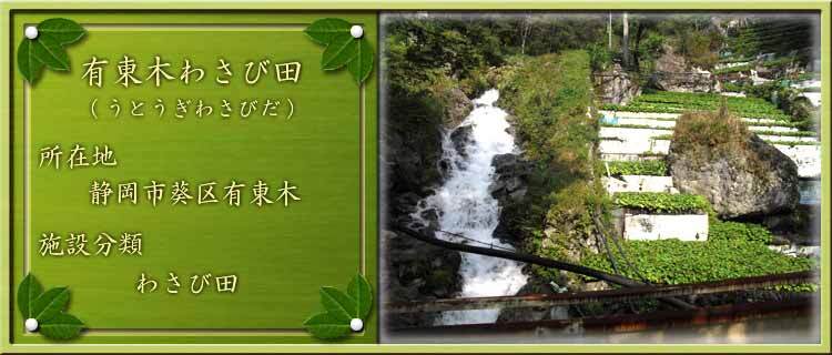 写真：有東木わさび田（うとうぎわさびだ）所在地：静岡市葵区有東木 施設分類：わさび田