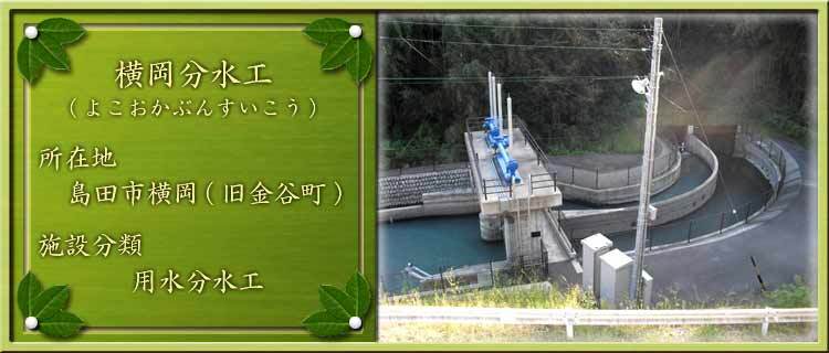 写真：横岡分水工（よこおかぶんすいこう）所在地：島田市横岡（旧金谷町） 施設分類：用水分水工