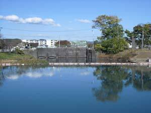 写真：対岸からの制水門