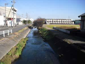 写真：中流部の水路状況