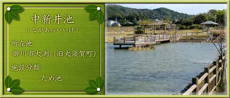 写真：中新井池（なかあらいいけ）所在地：掛川市大渕（旧大須賀町）施設分類：ため池