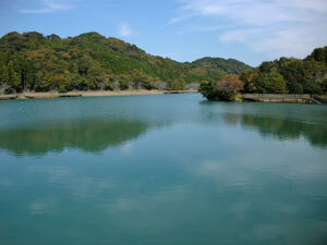 写真：池の堤より池の上流方向を望む