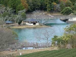 写真：池の上流部付近の景観