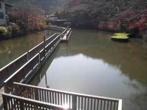 写真：湖面に浮かぶ夢の浮き橋