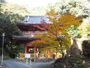 写真：隣接する方広寺の山門