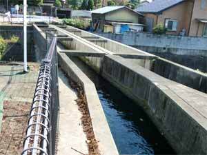 写真：水路斜め上流より望む2