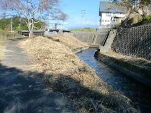 写真：水門下流水路1