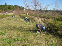 写真：草刈や植樹作業、散策路への丸太階段の設置、野鳥の巣箱製作と設置作業2