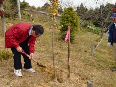 植樹作業、新規の散策路の整備作業1