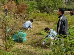 植樹作業、新規の散策路の整備作業2