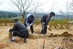 写真：間伐材を使用したベンチ等の修繕作業2