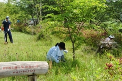 写真：草刈り、樹木の剪定・片づけ作業5