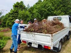 写真：草刈り、樹木の剪定・片づけ作業3