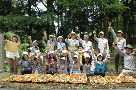 写真：タマネギ収穫2