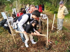 植樹や里山づくり1