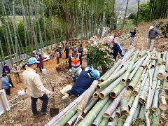 植樹や里山づくり2