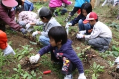 写真：11月14日活動の様子4