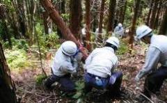 写真：5月22日活動の様子2