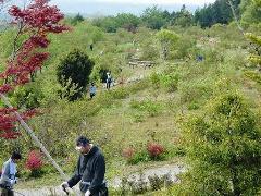 写真：4月24日活動の様子1