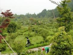 写真：7月3日活動の様子1