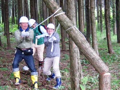 写真：6月5日活動の様子3