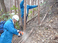 写真：11月29日活動の様子1