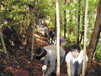 写真：5月23日活動の様子3