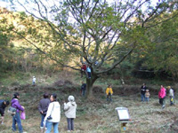 写真：11月28日活動の様子5