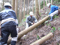 写真：1月20日活動の様子3