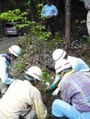 写真：5月17日活動の様子4