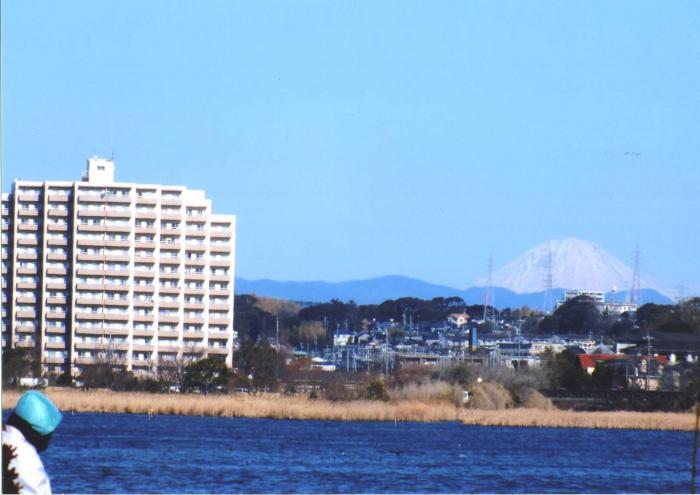 写真：佐鳴湖公園西岸（時計台付近）