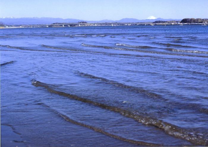 写真：浜名湖ガーデンパークの東湖岸