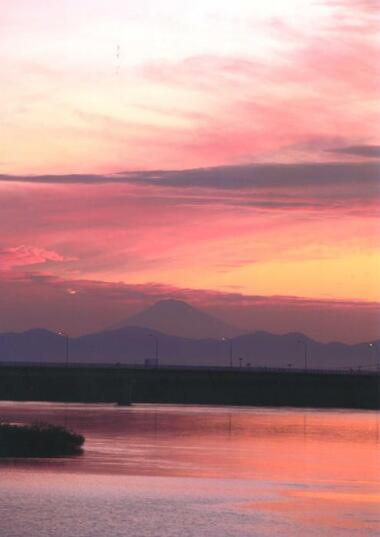 写真：浜松市南区三新町2