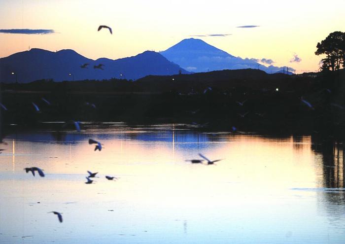 写真：太田川和口橋