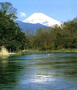 写真：柿田川