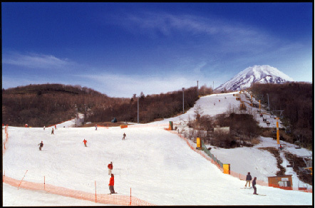 写真：イエティゲレンデ全景