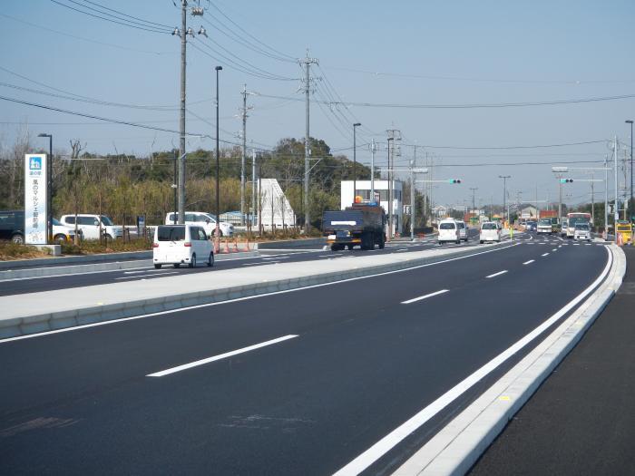 写真：避難道路整備