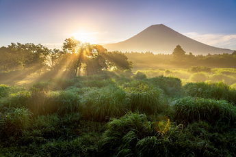 写真：写真コンテストグランプリ