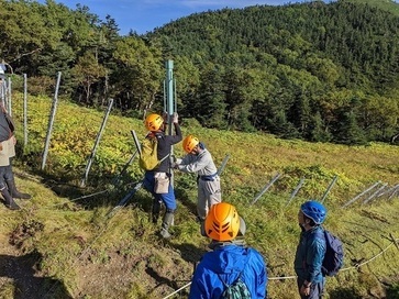 写真：防鹿柵の設置