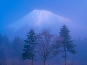 写真：写真コンテスト参加作品