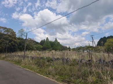 写真：富士市今宮