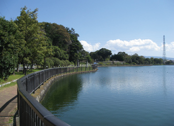 写真：門池公園