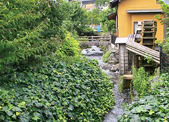 写真：原田湧水池公園