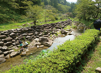 写真：童子沢親水公園